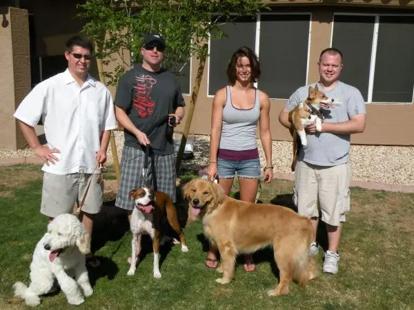 how to integrate multiple dogs