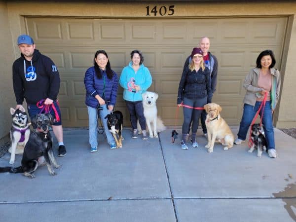 dog training reward methods