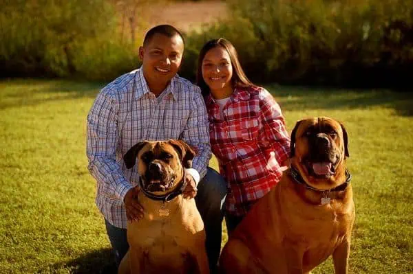 5 Dog Anxiety Remedies from a Chandler Dog Trainer
