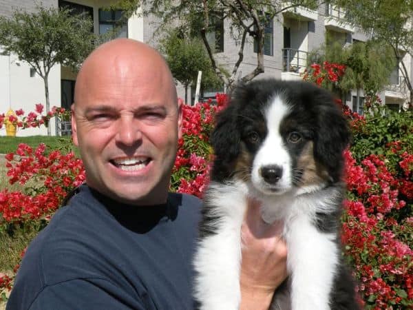 5 Dog Anxiety Remedies from a Chandler Dog Trainer