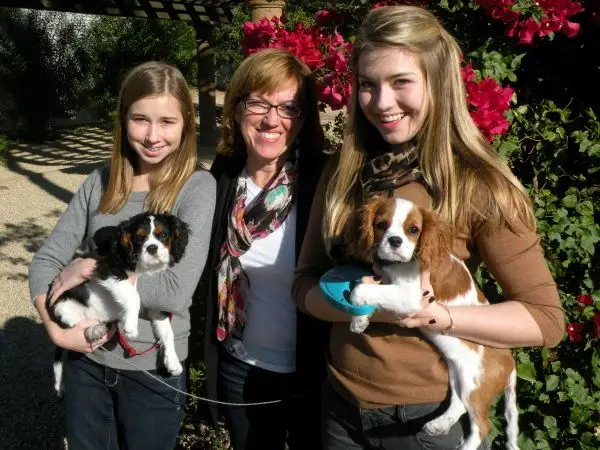 Benefits of Socializing Your Dog | Chandler, AZ Dog Trainer