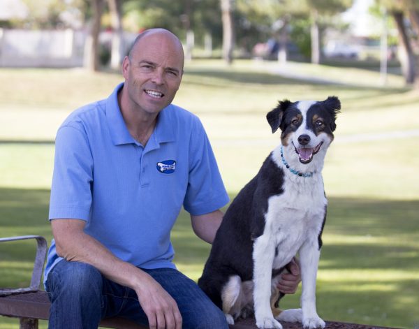 dog training pack leader basics