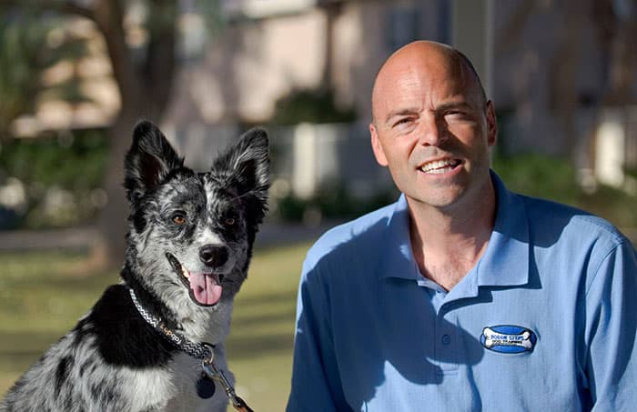 In-Home Dog Training Services in Phoenix/Chandler, AZ​ with Mark Siebel of Doggie Steps Dog Training for puppy potty training, and anxious and aggressive dogs, family dogs