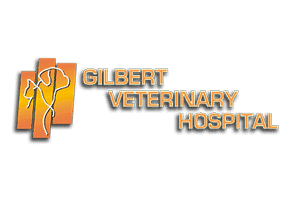 Gilbert AZ Vet