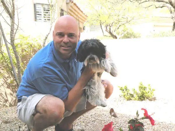 stop dog counter surfing chandler dog training