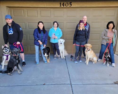 Group Dog Training Services in Phoenix/Chandler, AZ​