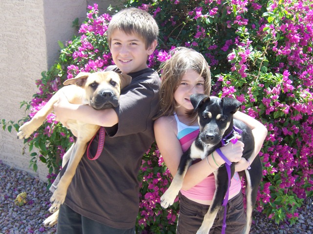 Kids with well trained dogs after using doggie steps dog training with mark siebel