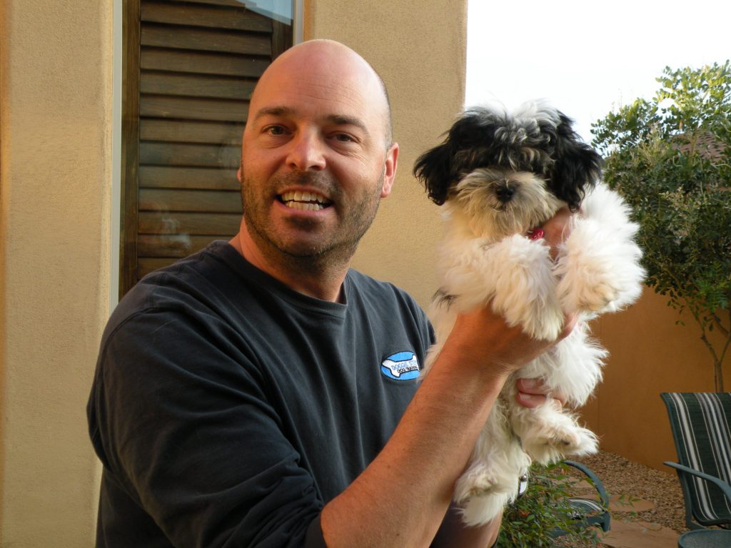 Contact Mark Siebel, owner and trainer at Doggie Steps Dog Training in Chandler, AZ