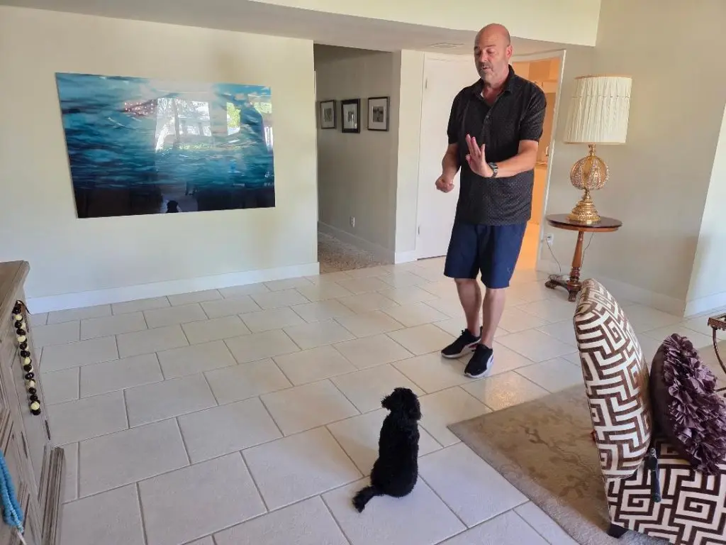 Mark Siebel practicing a sit command with a dog during Board and Train