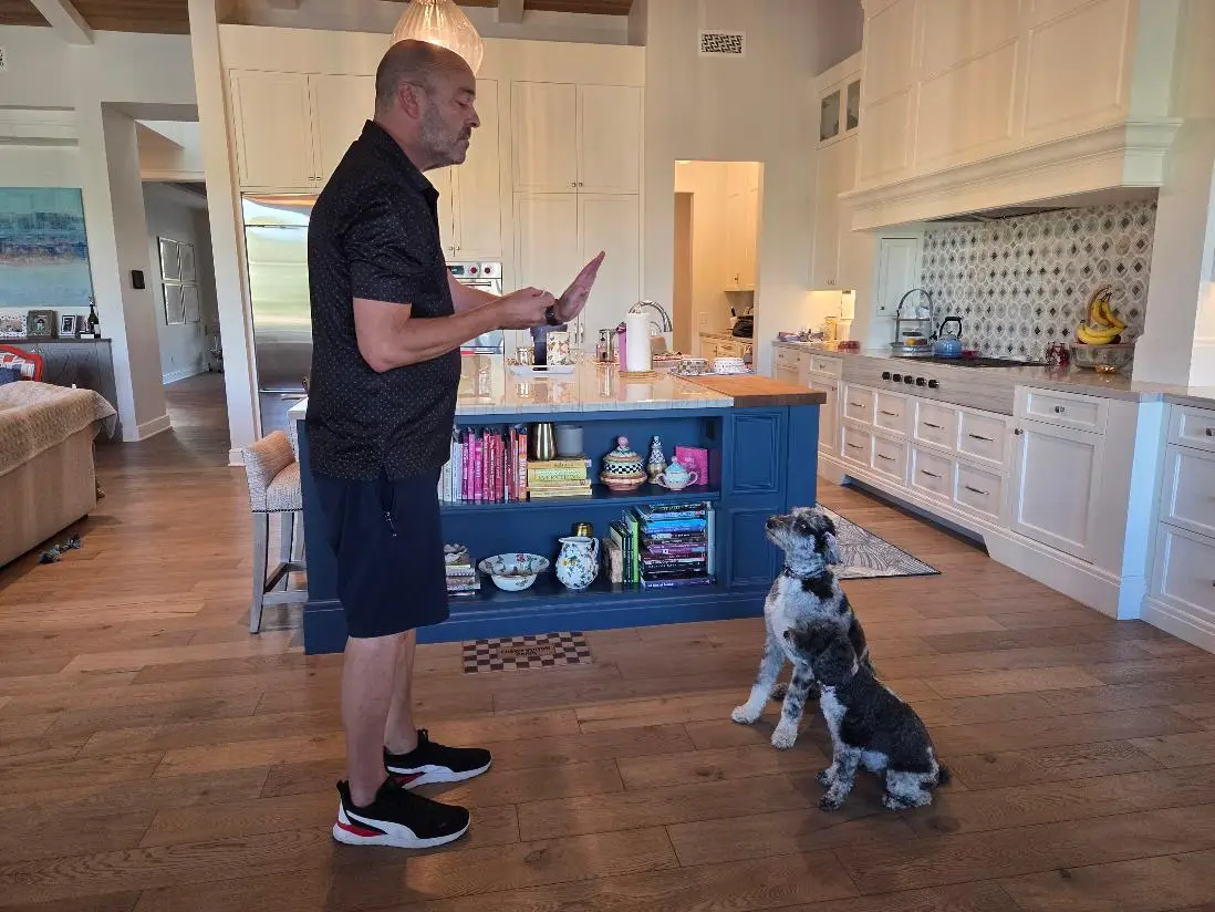 Mark Siebel giving a hand signal to two sitting doodles in a kitchen