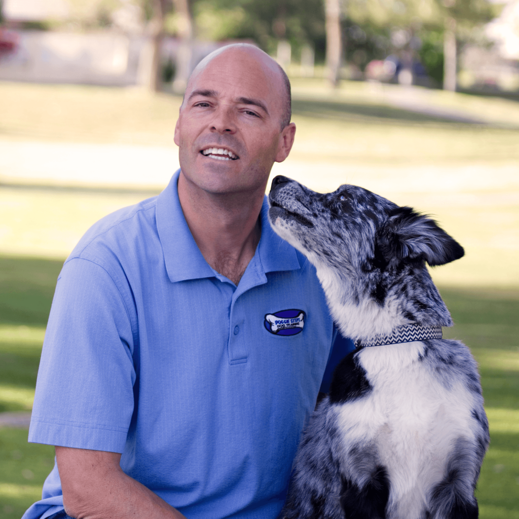 dog training with an experienced dog trainer in Chandler, AZ who will let your dog stay with them and will train your dog for you