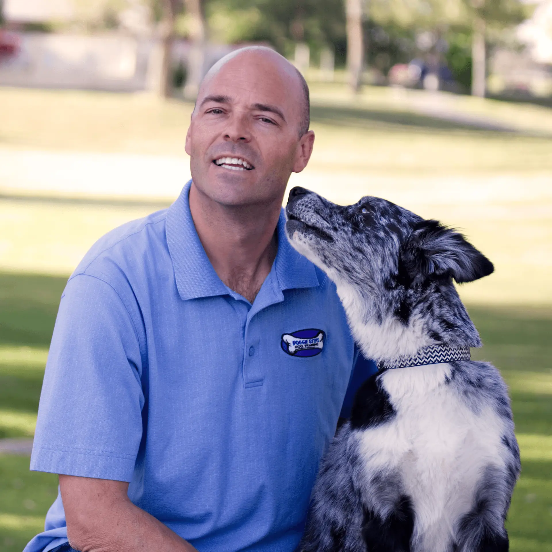 dog training with an experienced dog trainer in Chandler, AZ who will let your dog stay with them and will train your dog for you