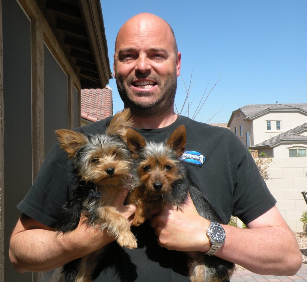 At My Home dog training in Chandler, AZ with owner and trainer Mark Siebel