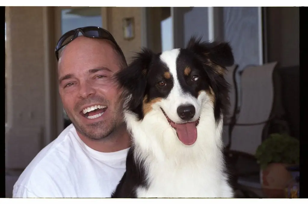 mark siebel professional dog trainer in chandler az