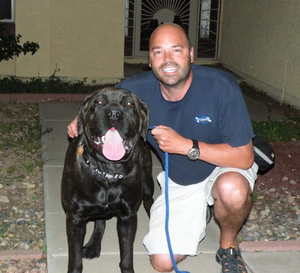 training for aggressive and anxious dogs in Phoenix AZ