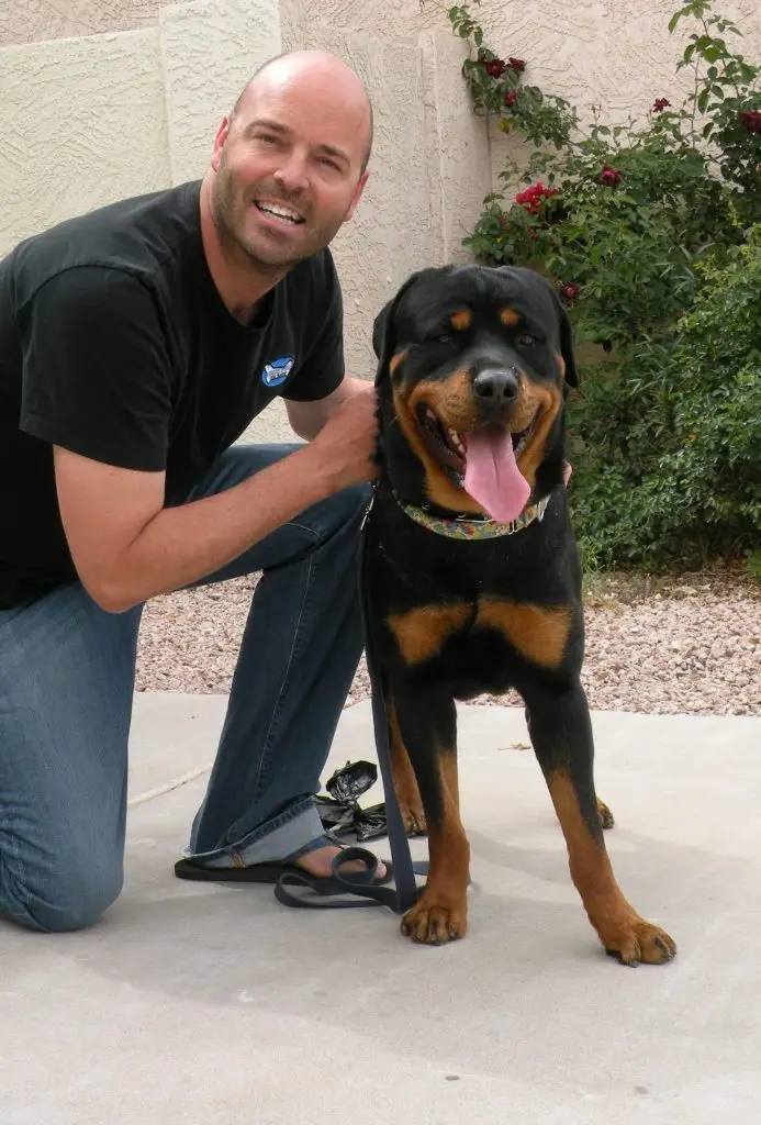professional training fr anxious and aggressive dogs in chandler az